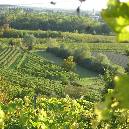 Capriva Del Friuli - Casa Roncus别墅 外观 照片