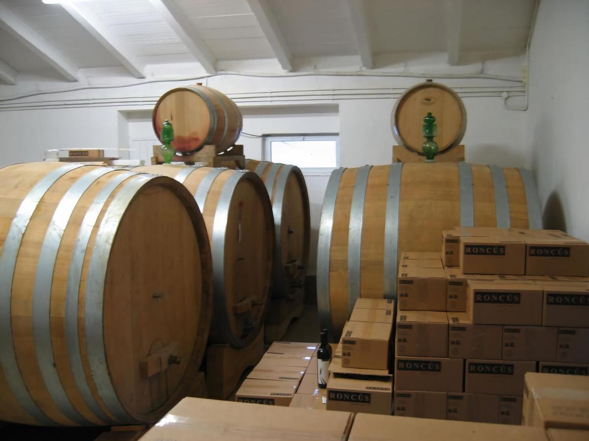 Capriva Del Friuli - Casa Roncus别墅 外观 照片