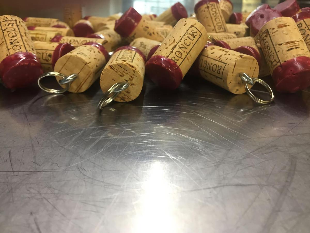 Capriva Del Friuli - Casa Roncus别墅 外观 照片